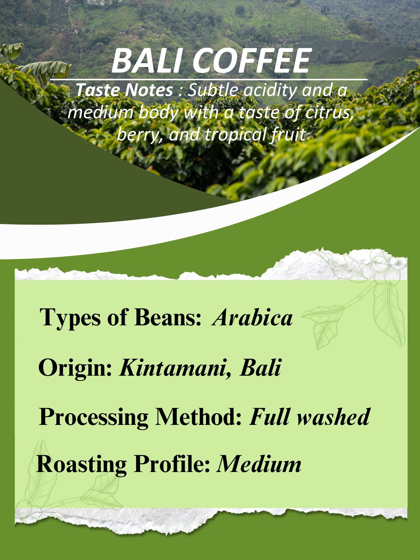 AMG Roastery Bali Arabica coffee from Bali, full wash, medium roast. Subtle acidity, medium body, taste of tropical fruits.
