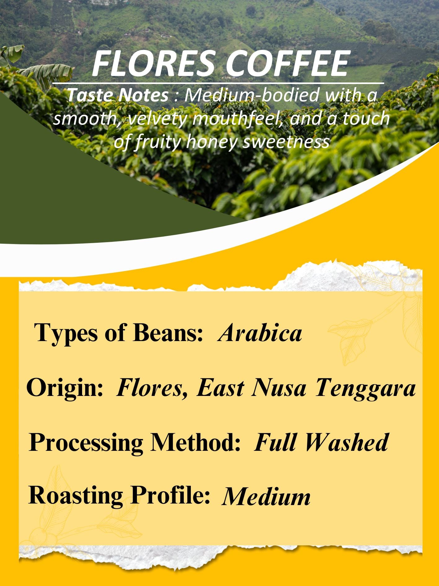 AMG Roastery Flores Arabica coffee from East Nusa Tenggara, full wash, medium roast. Smooth, and fruity honey sweetness.