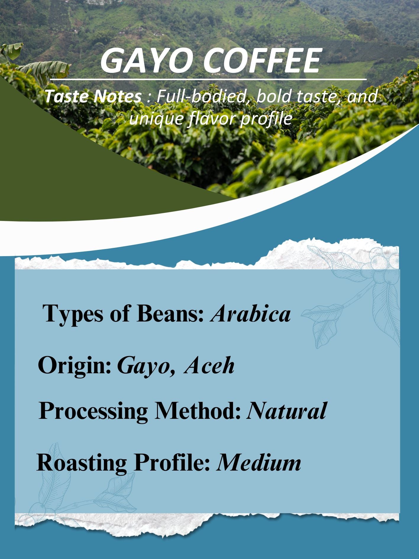 AMG Roastery Gayo Arabica coffee from Aceh, natural process, medium roast. Full bodied, bold taste, unique flavor profile.