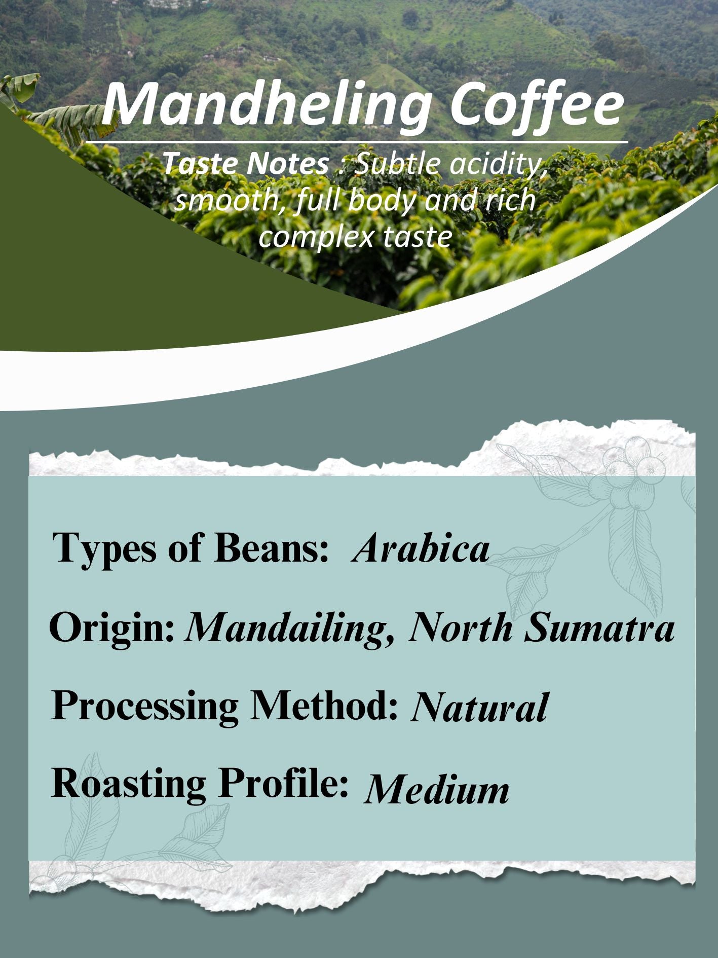 AMG Roastery Mandheling Arabica coffee from North Sumatra, natural process, medium roast. Subtle acidity, and complex taste.