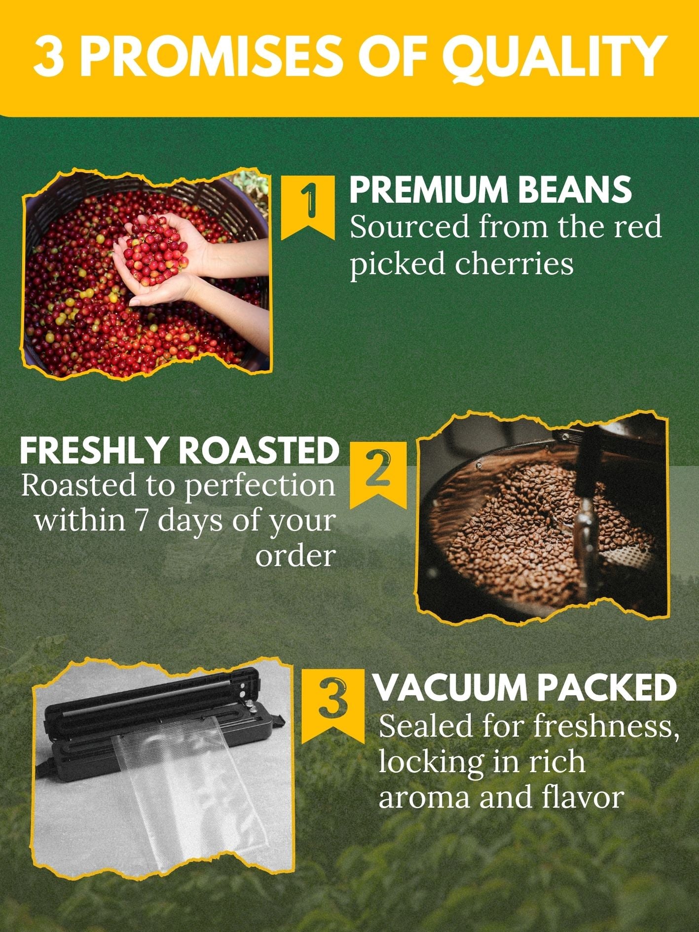 AMG Roastery's promises: Premium Lintong coffee from red cherries, freshly roasted within 7 days, vacuum-packed for freshness.