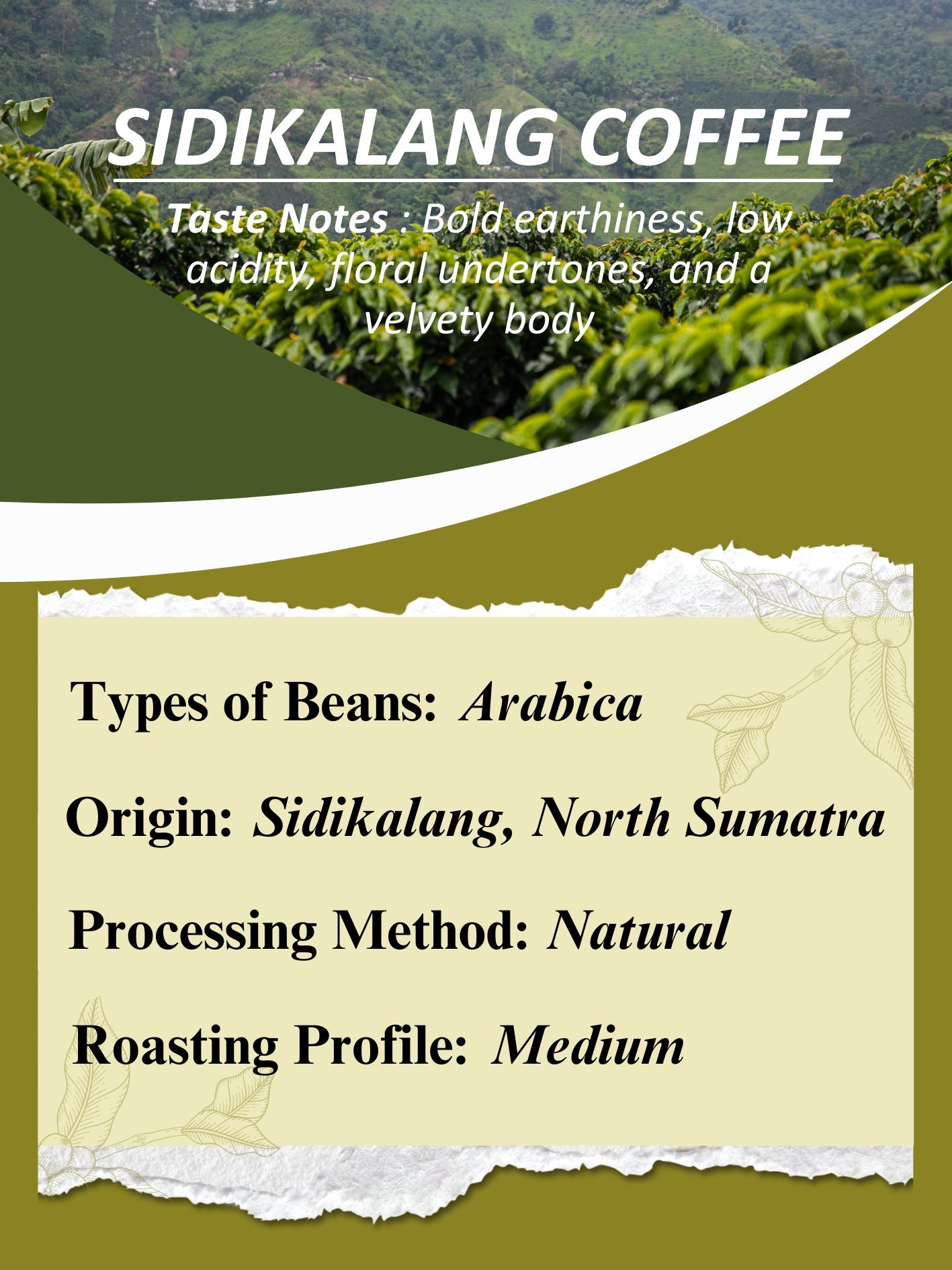 AMG Roastery Sidikalang Arabica coffee from North Sumatra, natural process, medium roast. Bold earthiness, and low acidity.